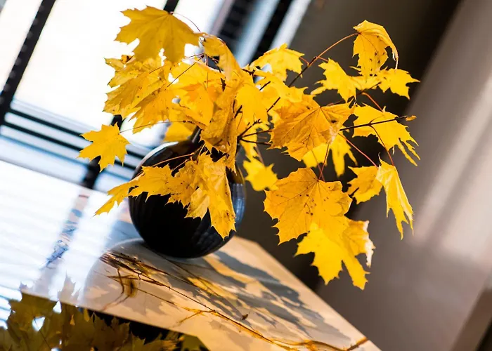 Loft La Et Sa Thimister